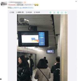 上海爆料视频在线观看,揭秘城市生活背后真相